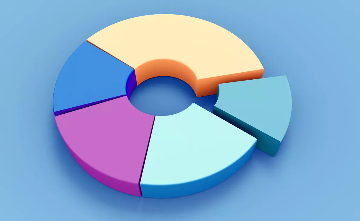  Pie chart graphic
